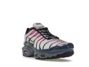 Nike Air Max Plus Men's Shoes - Grey