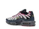 Nike Air Max Plus Men's Shoes - Grey