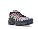 Nike Air Max Plus Men's Shoes - Grey