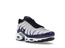 Nike Air Max Plus Shoes - White