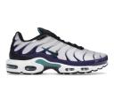Nike Air Max Plus Shoes - White