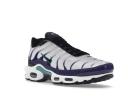 Nike Air Max Plus Shoes - White