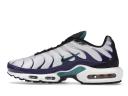 Nike Air Max Plus Shoes - White