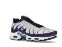 Nike Air Max Plus Shoes - White