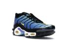 Nike Air Max Plus TN SE 40