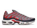 Nike Air Max Plus USA Grey