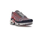Nike Air Max Plus USA Grey