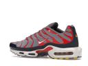 Nike Air Max Plus USA Grey