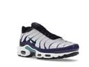 Nike Air Max Plus White Grape Ice