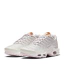 Nike Air Max Plus Women's Shoe - Grey