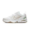 Nike Air Monarch IV Phantom Grey