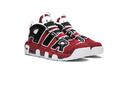 Nike Air More Uptempo Bulls Hoops Pack (2017/2021)