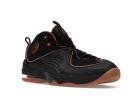 Nike Air Penny II Copper (2009)