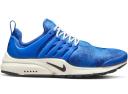 Nike Air Presto Iris Whisper Atmosphere (Women's)