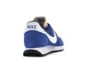 Nike Air Tailwind 79 (Blue)