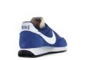 Nike Air Tailwind 79 (Blue)