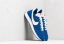 Nike Air Tailwind 79 (Blue)