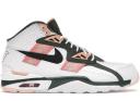 Nike Air Trainer SC High Raiders #34 (2009)