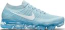 Nike Air VaporMax Cool Grey (Women's)
