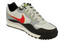 Nike Air Wildwood ACG - Pure Platinum