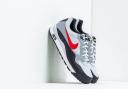 Nike Air Wildwood ACG - Pure Platinum