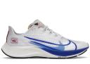 Nike Air Zoom 37 Premium Blue Ribbon Sports White