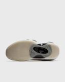 Nike Air Zoom Flight 95 Sail/ White-Pale Ivory-Black