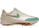 Nike Air Zoom Infinity Tour NXT% NRG Sail Washed Teal (Wide)