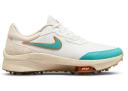 Nike Air Zoom Infinity Tour NXT% NRG Sail Washed Teal (Wide)