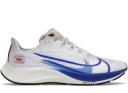 Nike Air Zoom Pegasus 37 Grey Metallic Silver (Women's)