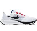 Nike Air Zoom Pegasus 37 Obsidian Mist (GS)