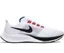 Nike Air Zoom Pegasus 37 Obsidian Mist (GS)