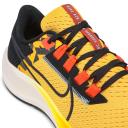 Nike Air Zoom Pegasus 38