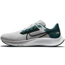 Nike Air Zoom Pegasus 38 A.I.R. Jordan Moss