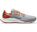 Nike Air Zoom Pegasus 38 A.I.R. Jordan Moss