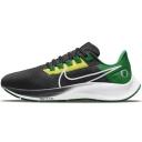 Nike Air Zoom Pegasus 38 A.I.R. Jordan Moss