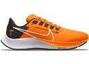 Nike Air Zoom Pegasus 38 A.I.R. Jordan Moss