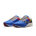 Nike Air Zoom Pegasus 38 A.I.R. Jordan Moss Men's Road Running Shoes - Blue
