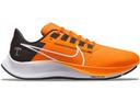 Nike Air Zoom Pegasus 38 Chicago Bears
