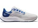 Nike Air Zoom Pegasus 38 Chicago Bears