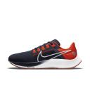Nike Air Zoom Pegasus 38 Chicago Bears