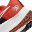 Nike Air Zoom Pegasus 38 Chicago Bears