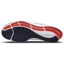 Nike Air Zoom Pegasus 38 Denver Broncos