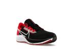 Nike Air Zoom Pegasus 38 Ohio State