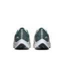 Nike Air Zoom Pegasus 38 Philadelphia Eagles