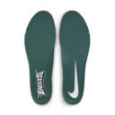 Nike Air Zoom Pegasus 38 Philadelphia Eagles