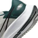 Nike Air Zoom Pegasus 38 Philadelphia Eagles