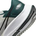 Nike Air Zoom Pegasus 38 Philadelphia Eagles