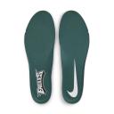 Nike Air Zoom Pegasus 38 Philadelphia Eagles