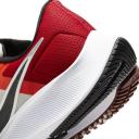 Nike Air Zoom Pegasus 38 Sail Gym Red Dune Red